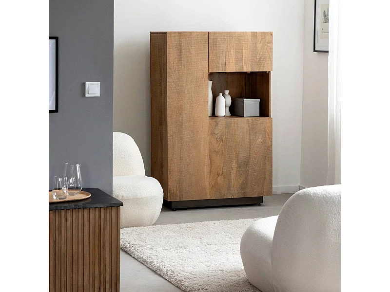 Armoire en bois de manguier et métal Isil