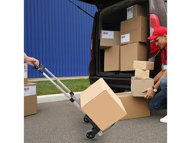 Carrello da trasporto 70kg max pieghevole ad altezza regolabile