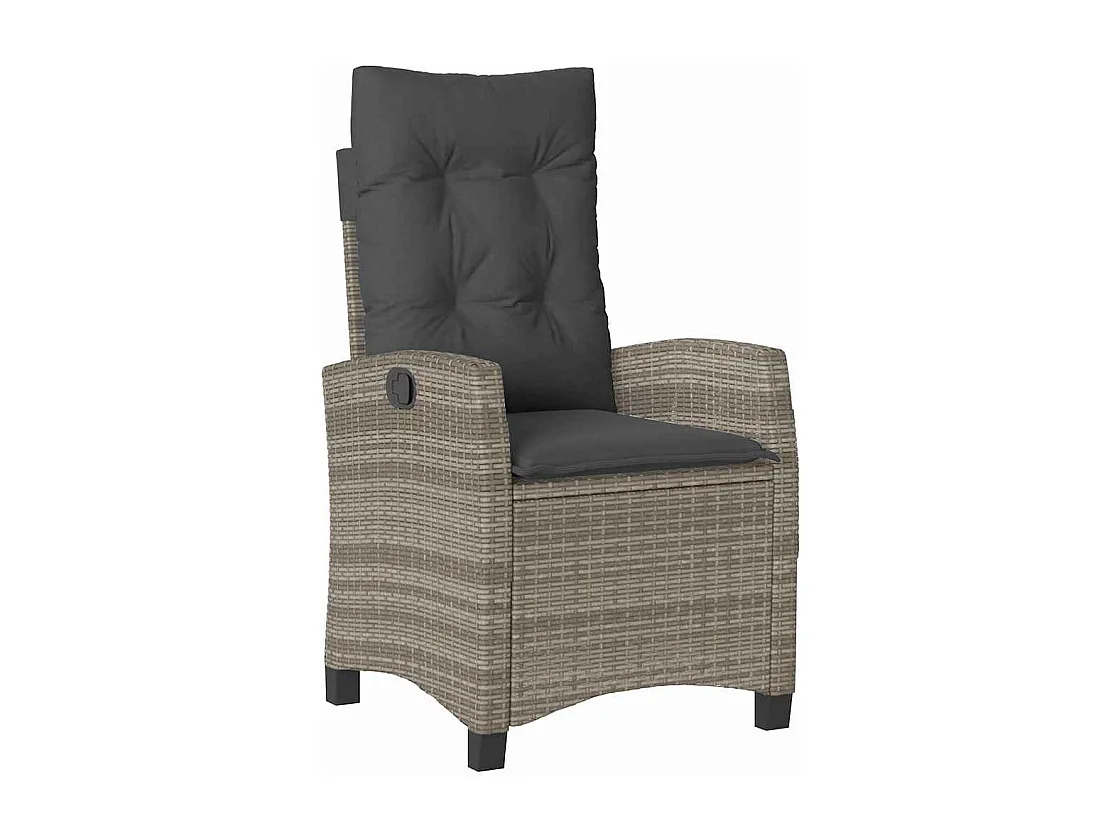 Ensemble de jardin 5 pièces avec coussins - Rattan poly gris