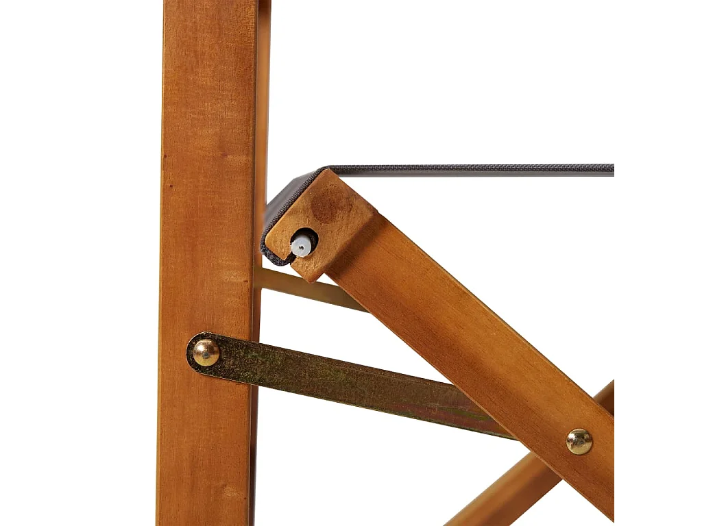 Regisseursstoelen set van 2 Massief acaciahout