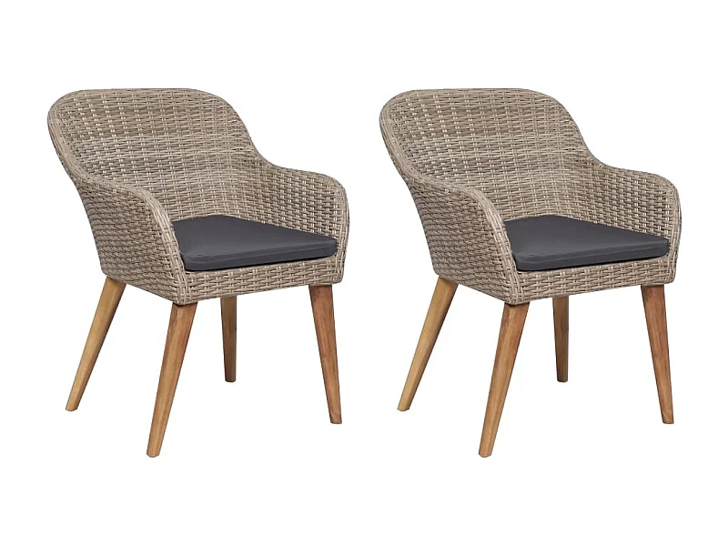 Set van 2 tuinstoelen en kussens van bruin geweven hars