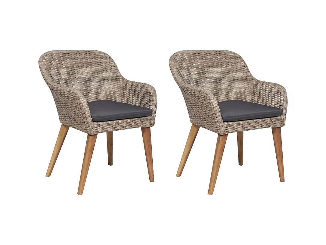 Chaises d'extérieur et coussins lot de 2 Résine tressée Marron