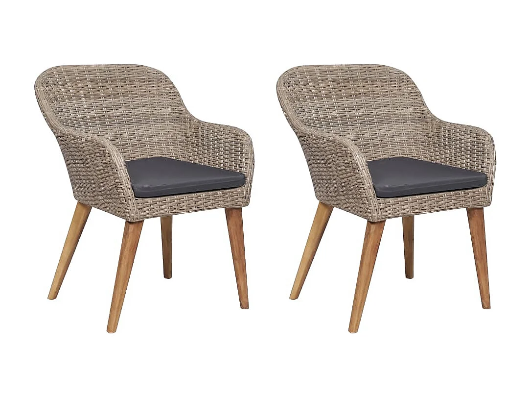 Chaises d'extérieur et coussins lot de 2 Résine tressée Marron