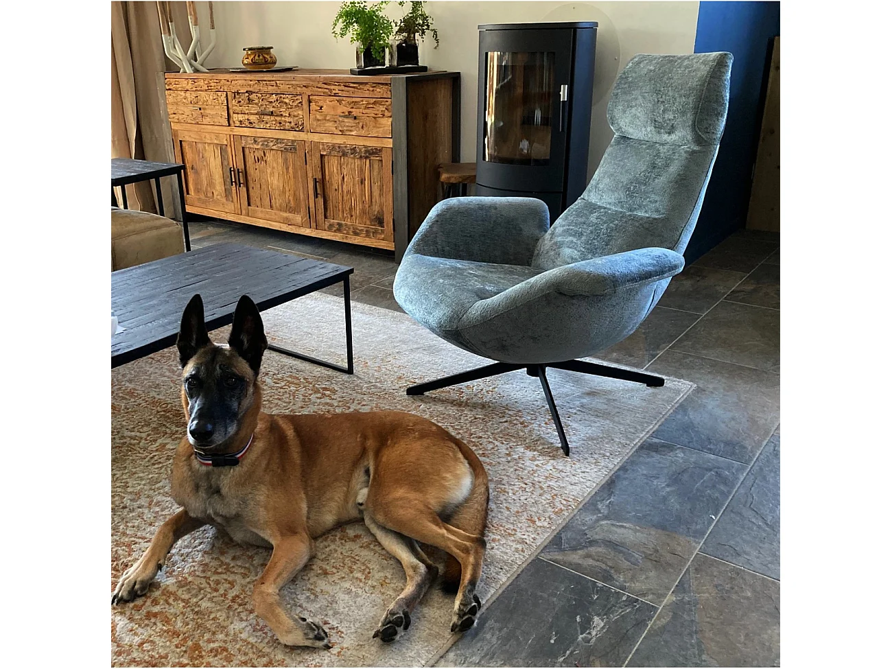 ASTI - Fauteuil rotatif en velours argenté