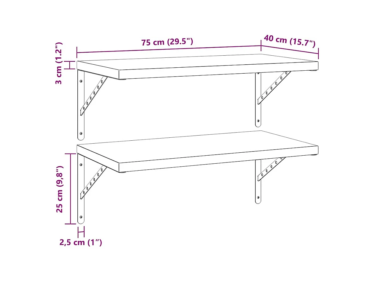Étagères murales 2 pcs 75x40 cm argenté acier inoxydable