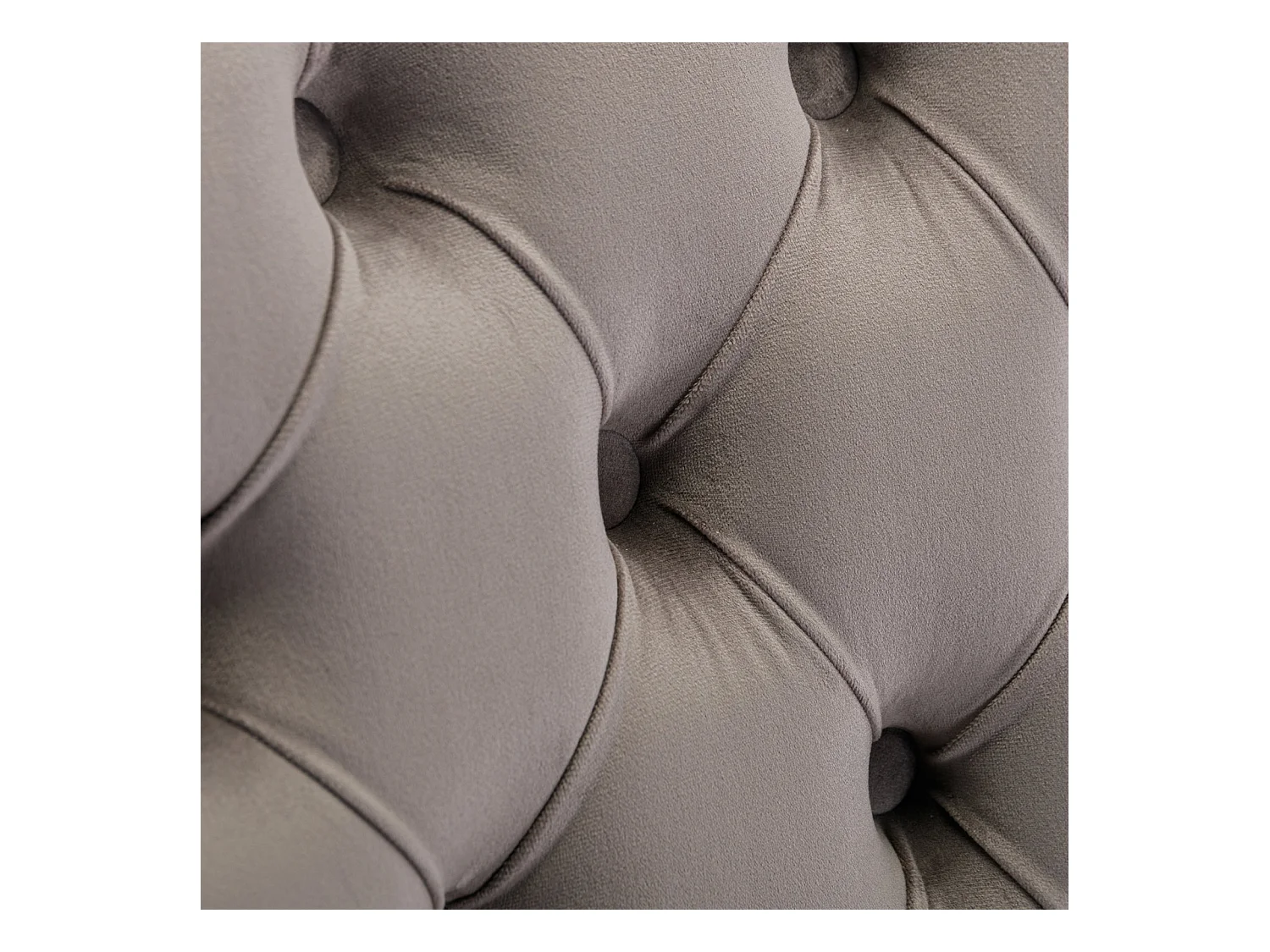 Sedia da pranzo moderna, velluto grigio, gambe in legno, chiodi decorativi, set da 2 (65x50x95 cm)