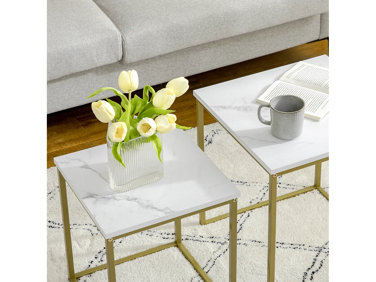 Set de 2 Tables Basses, Design Moderne, Structure en Acier, Blanc (45x45x50 cm)