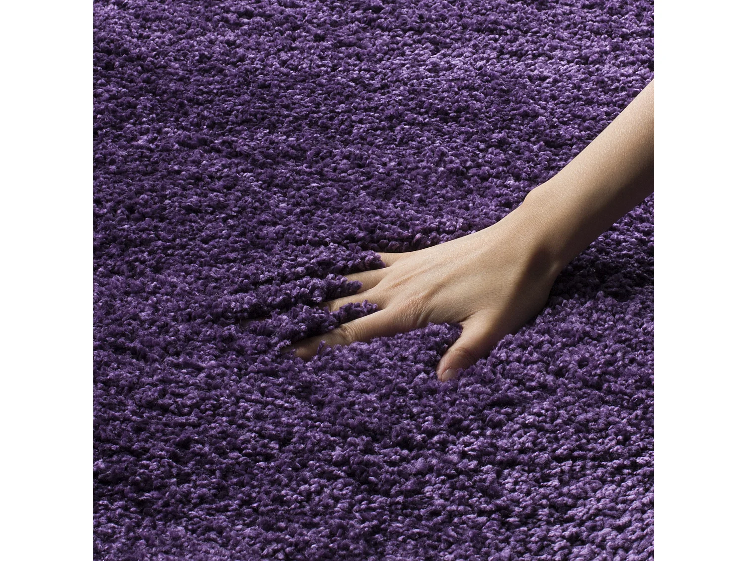 Tapis Violet 183 X 274 cm - Bowery