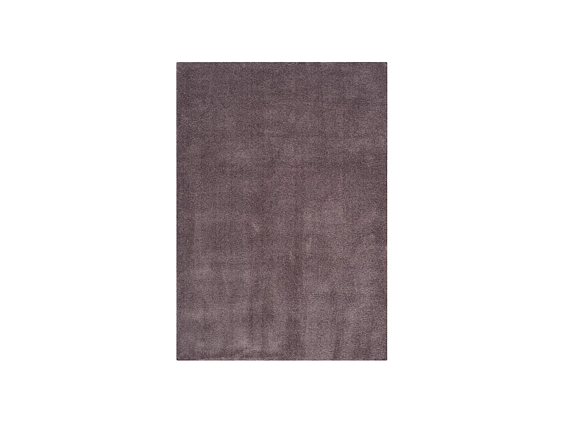 Tapis Violet 91 X 152 cm - Robyn