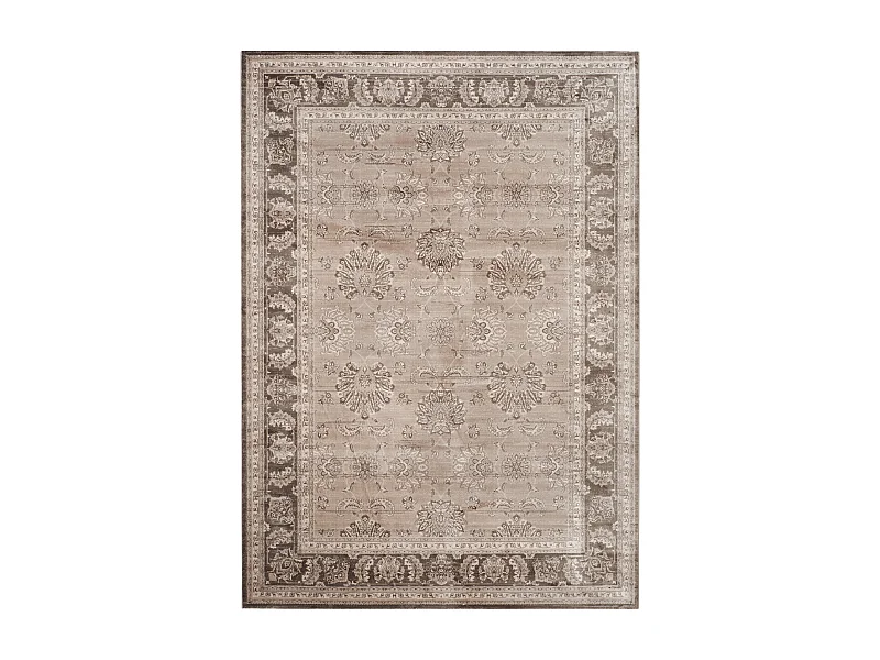 Tapis Neutre/Marron 244 X 335 cm - Darcy