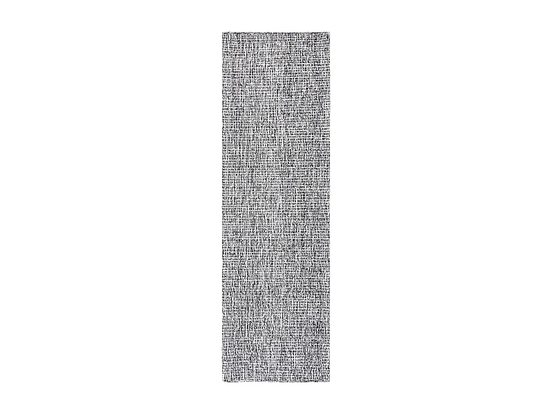 Tapis Noir/Ivoire 69 X 244 cm - Damaris