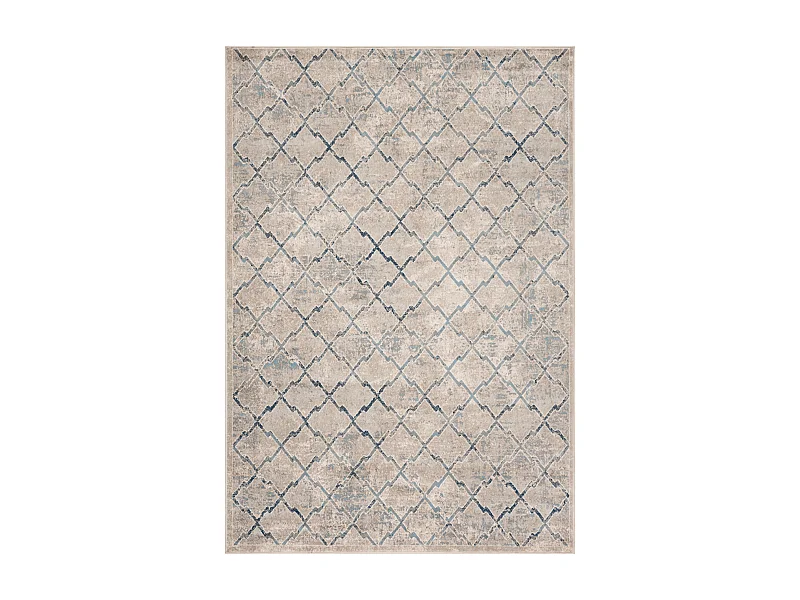 Tapis Gris/Bleu 160 X 229 cm - Siobhan