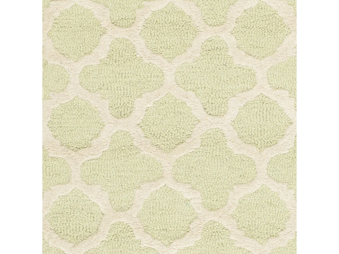 Tapis Vert/Neutre 61 X 91 cm - Bessa