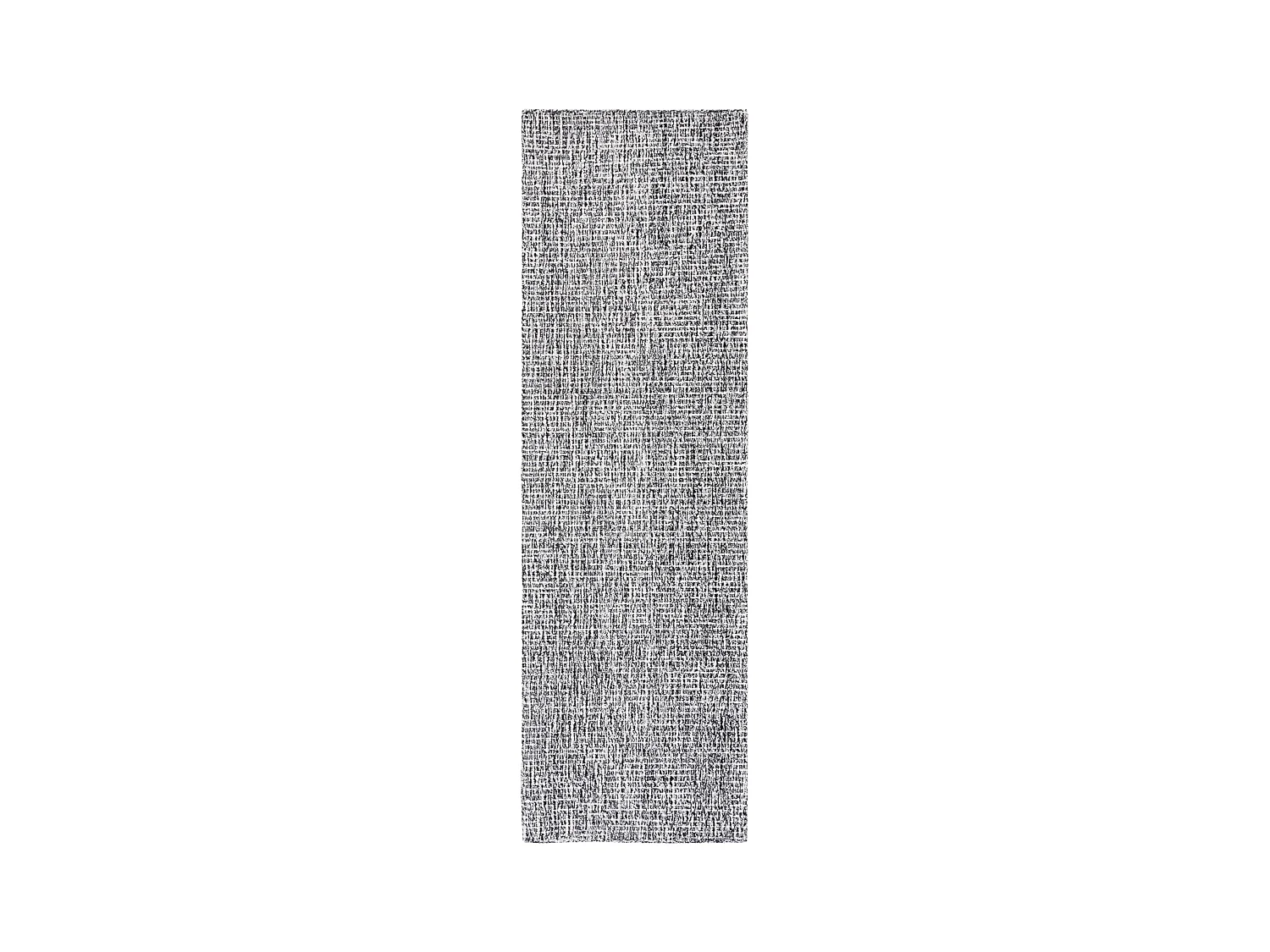 Tapis Noir/Ivoire 69 X 122 cm - Damaris