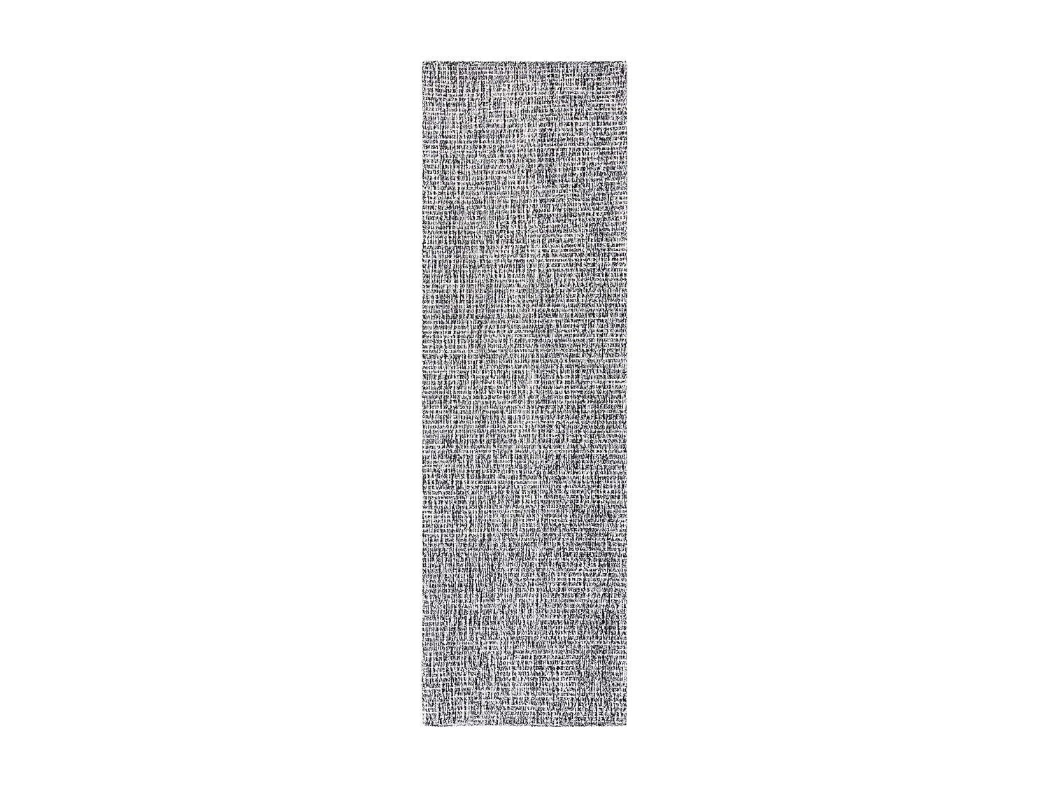 Tapis Noir/Ivoire 69 X 122 cm - Damaris