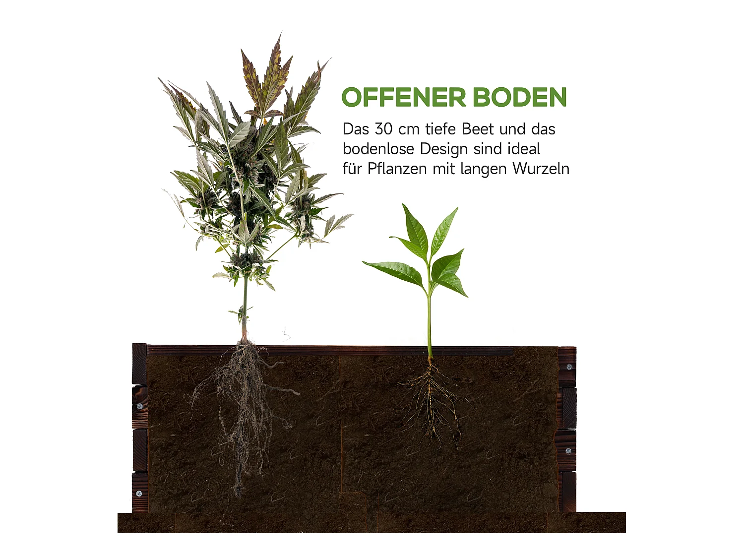 Hochbeet Pflanzkasten, Gemüsebeet, Kräuterbeet, Massivholz, Dunkelbraun (60x60x23 cm)