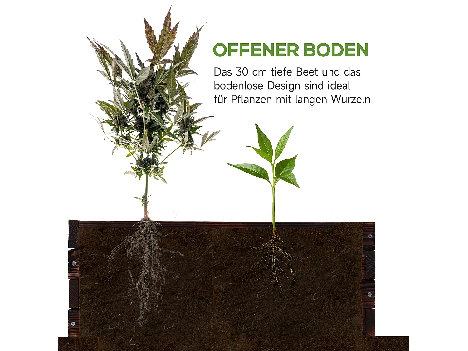 Hochbeet Pflanzkasten, Gemüsebeet, Kräuterbeet, Massivholz, Dunkelbraun (60x60x23 cm)