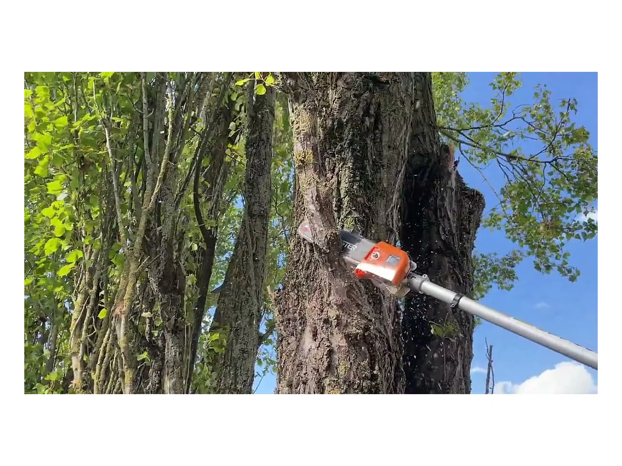 Multifonction thermique 4 en 1 : tronçonneuse-élagueuse, taille-haie, débroussailleuse, rallonge - CHESTER