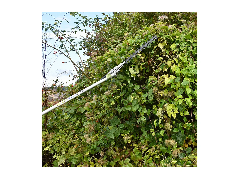 Multifonction thermique 4 en 1 : tronçonneuse-élagueuse, taille-haie, débroussailleuse, rallonge - CHESTER