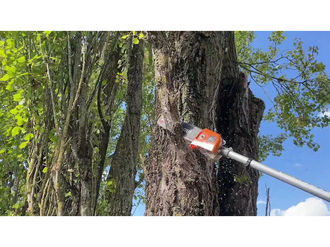 Multifonction thermique 4 en 1 : tronçonneuse-élagueuse, taille-haie, débroussailleuse, rallonge - CHESTER