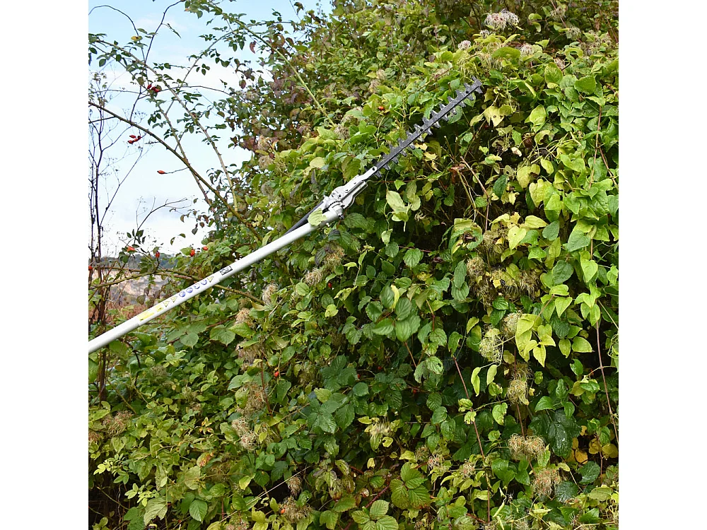 Multifonction thermique 4 en 1 : tronçonneuse-élagueuse, taille-haie, débroussailleuse, rallonge - CHESTER