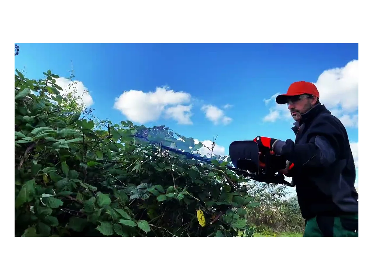 Taille-haie thermique 25,4 cm³ - lame 600 mm - CHESTER