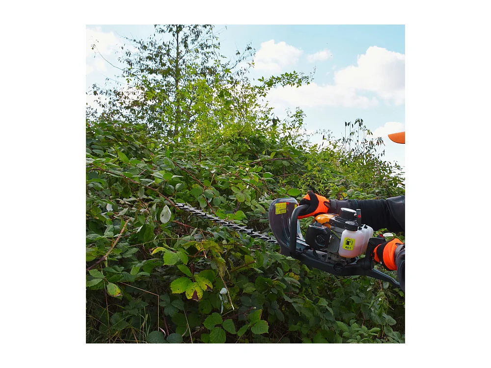 Taille-haie thermique 25,4 cm³ - lame 600 mm - CHESTER