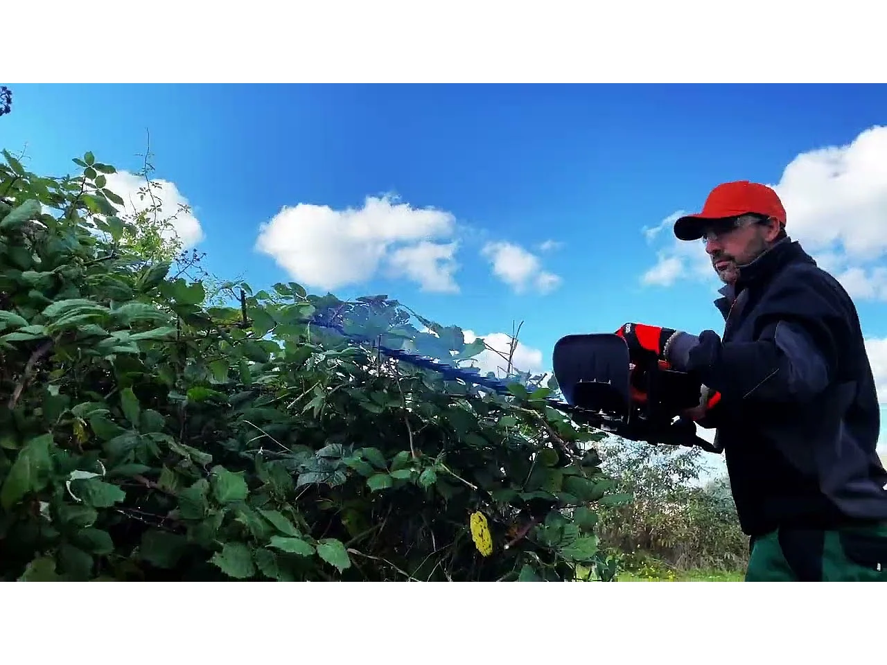 Taille-haie thermique 25,4 cm³ - lame 600 mm - CHESTER