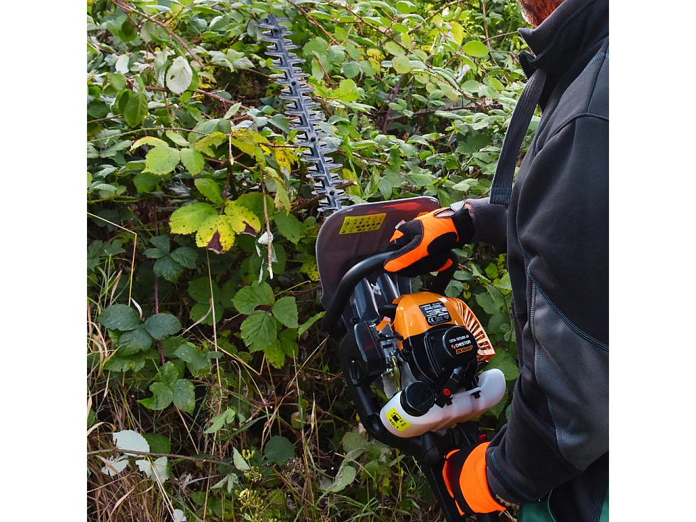 Taille-haie thermique 25,4 cm³ - lame 600 mm - CHESTER