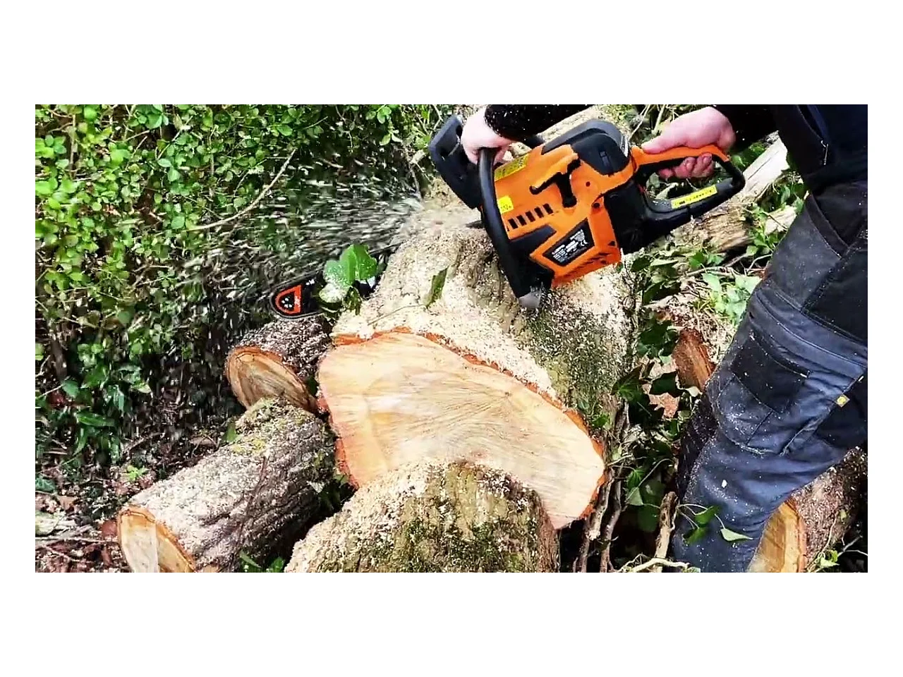 Tronçonneuse thermique 65 cm³ - guide 50cm - 2 chaînes - CHESTER