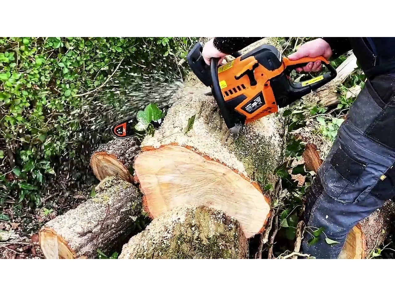 Tronçonneuse thermique 65 cm³ - guide 50cm - 2 chaînes - CHESTER