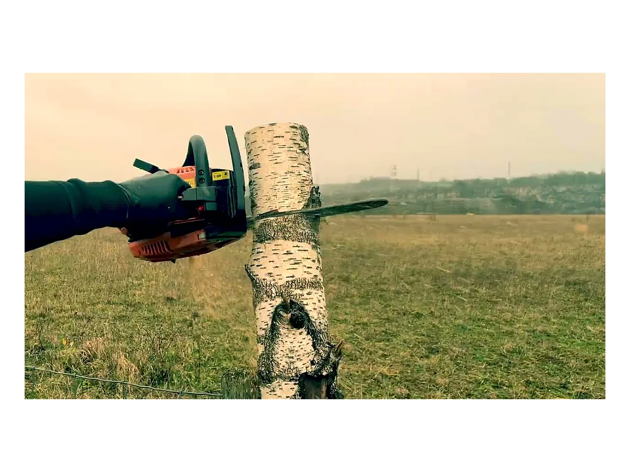 Tronçonneuse d'élagage thermique 25,4 cm³ - guide 30 cm - 2 chaînes - CHESTER