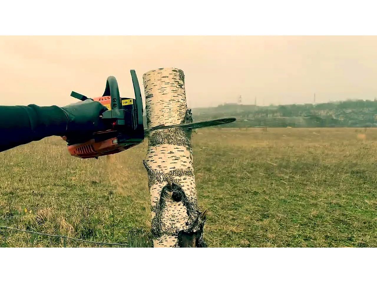 Tronçonneuse d'élagage thermique 25,4 cm³ - guide 30 cm - 2 chaînes - CHESTER