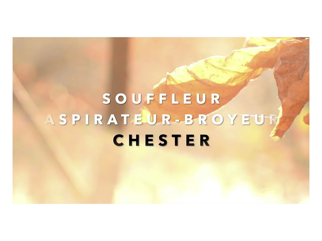 Souffleur aspirateur broyeur thermique 25,4 cm³ - CHESTER