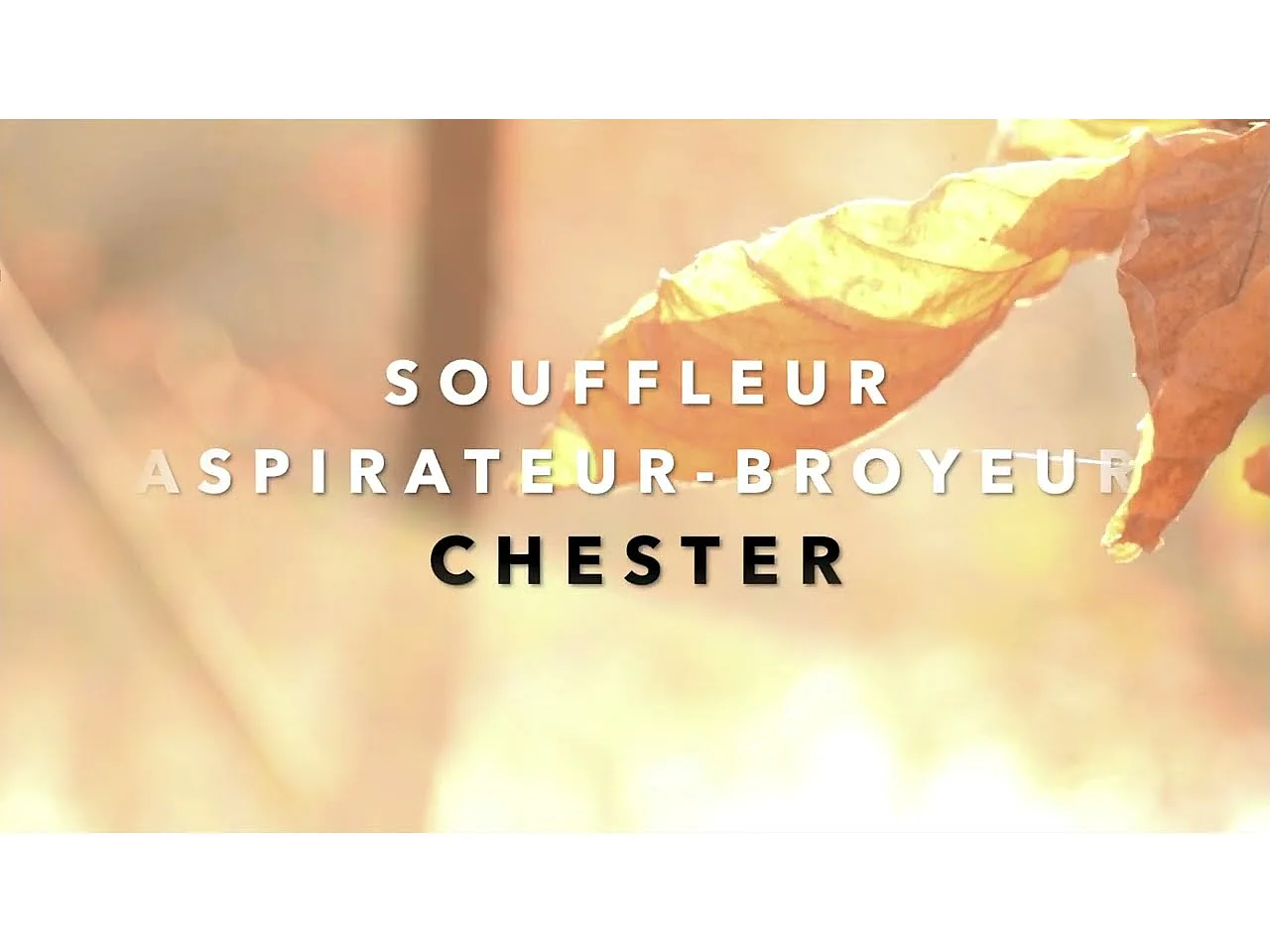 Souffleur aspirateur broyeur thermique 25,4 cm³ - CHESTER