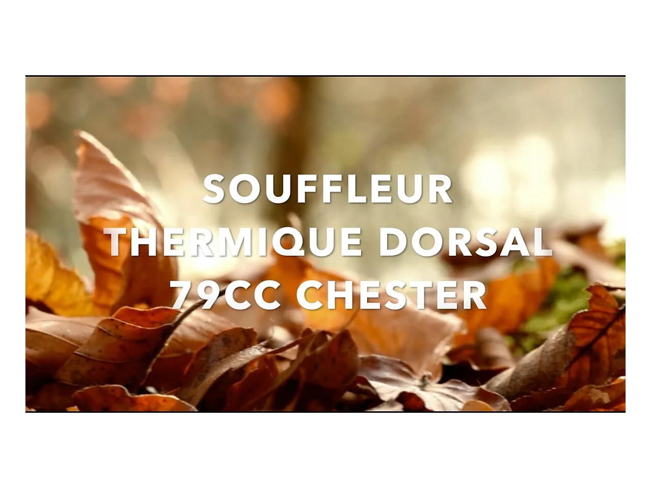 Souffleur thermique dorsal Chester 79 cm³ - 367 km/h