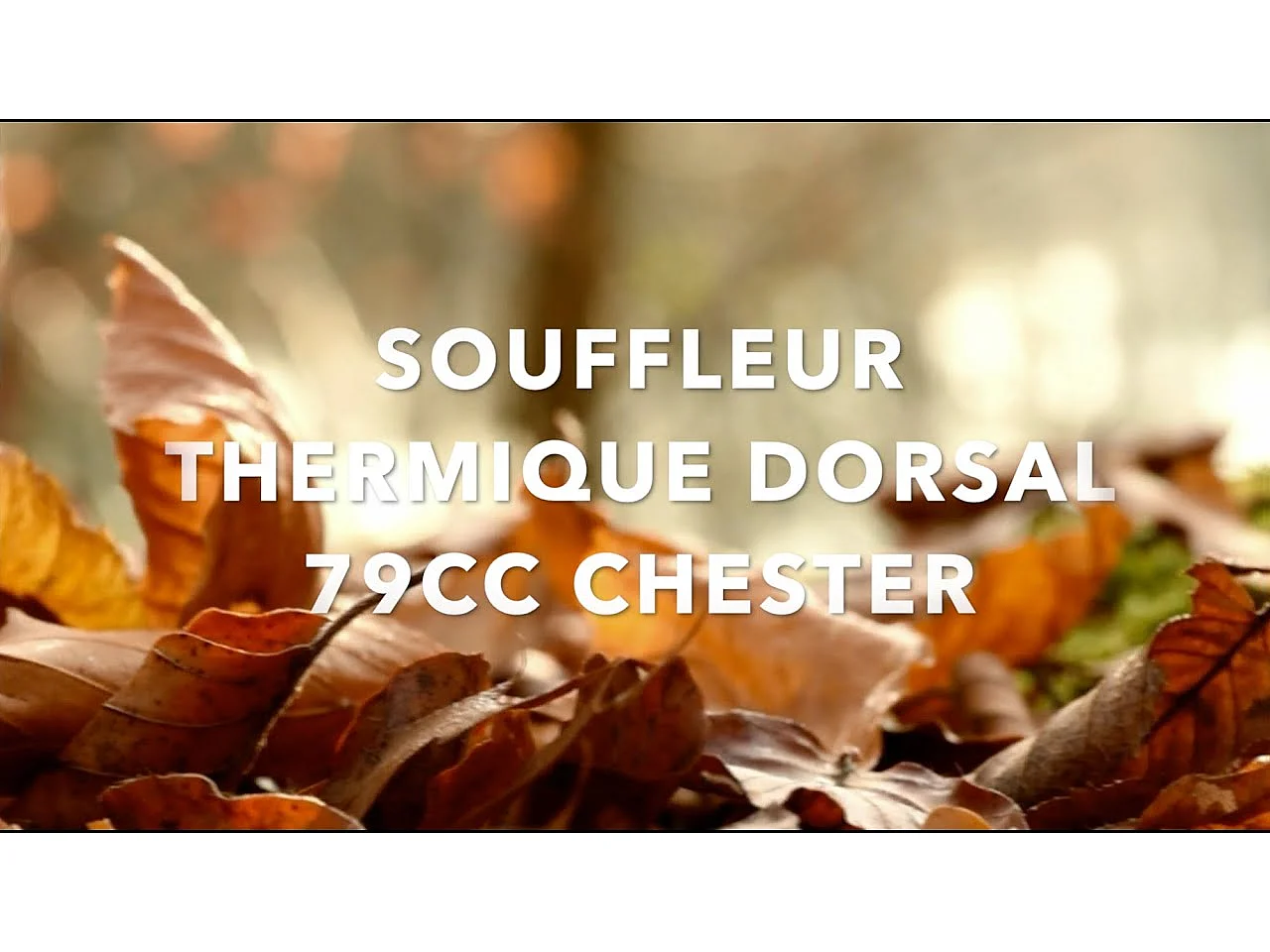 Chester Rugblazer met thermische motor 79 cm³ - 367 km/h