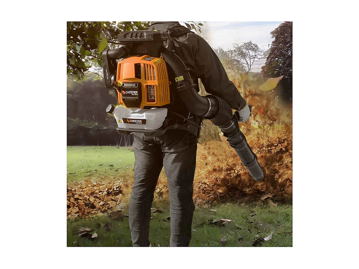 Chester Rugblazer met thermische motor 79 cm³ - 367 km/h