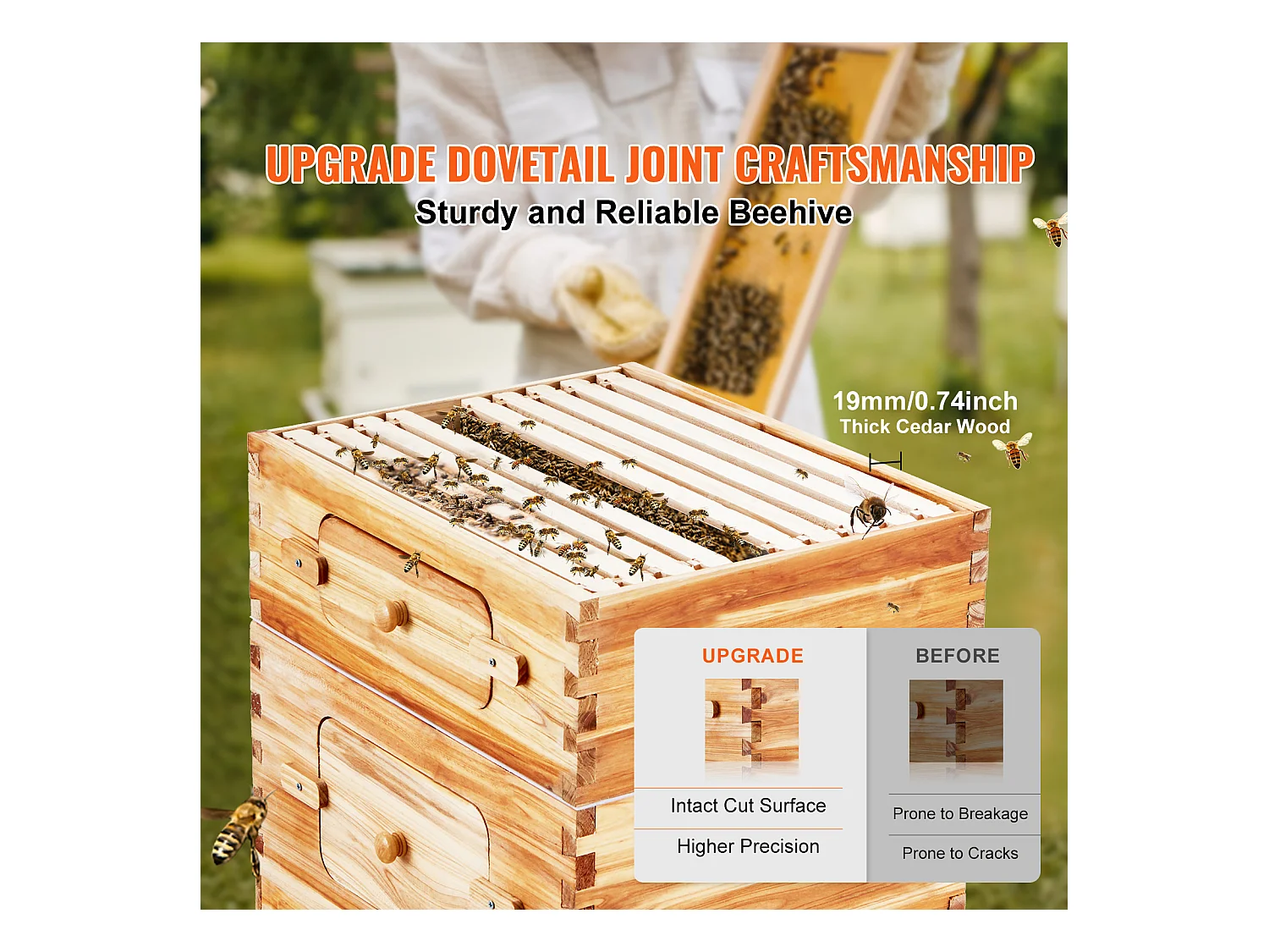 Kit de Ruche d'Abeilles SucceBuy Langstroth 20 Cadres Profonds et 10 Cadres Moyens avec Fenêtres en Acrylique