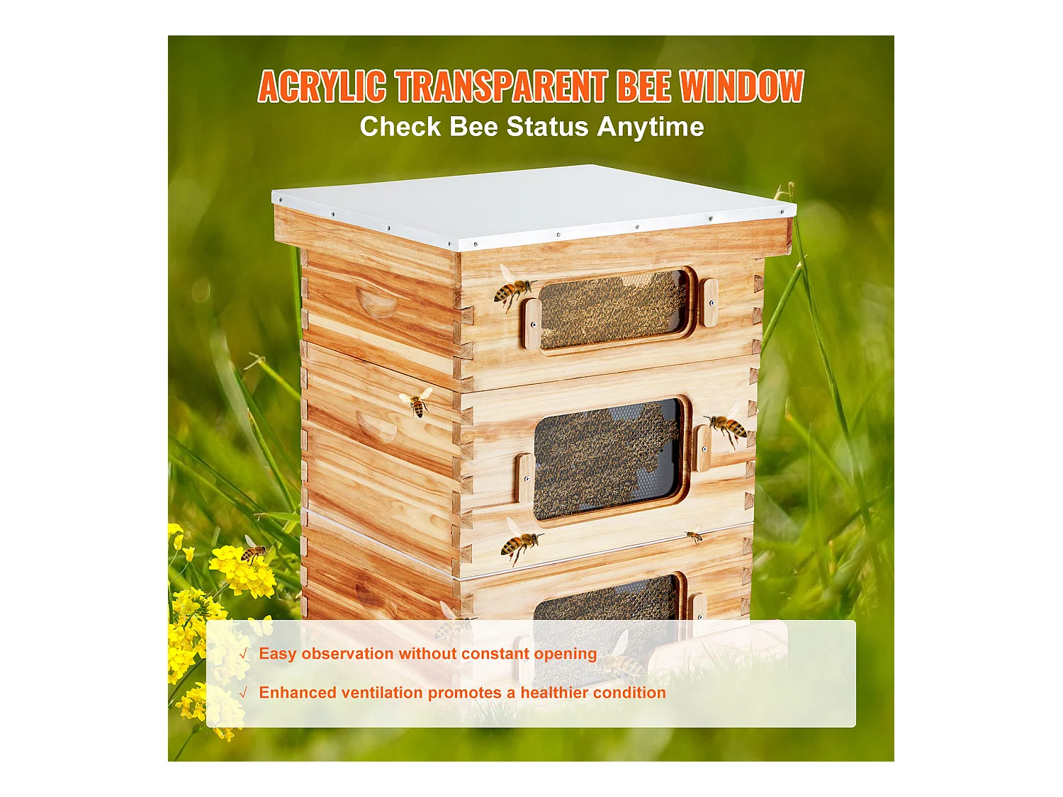 Kit de Ruche d'Abeilles SucceBuy Langstroth 20 Cadres Profonds et 10 Cadres Moyens avec Fenêtres en Acrylique