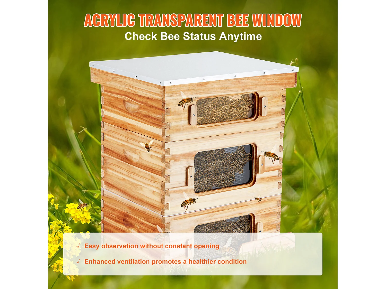 Kit de Ruche d'Abeilles SucceBuy Langstroth 20 Cadres Profonds et 10 Cadres Moyens avec Fenêtres en Acrylique