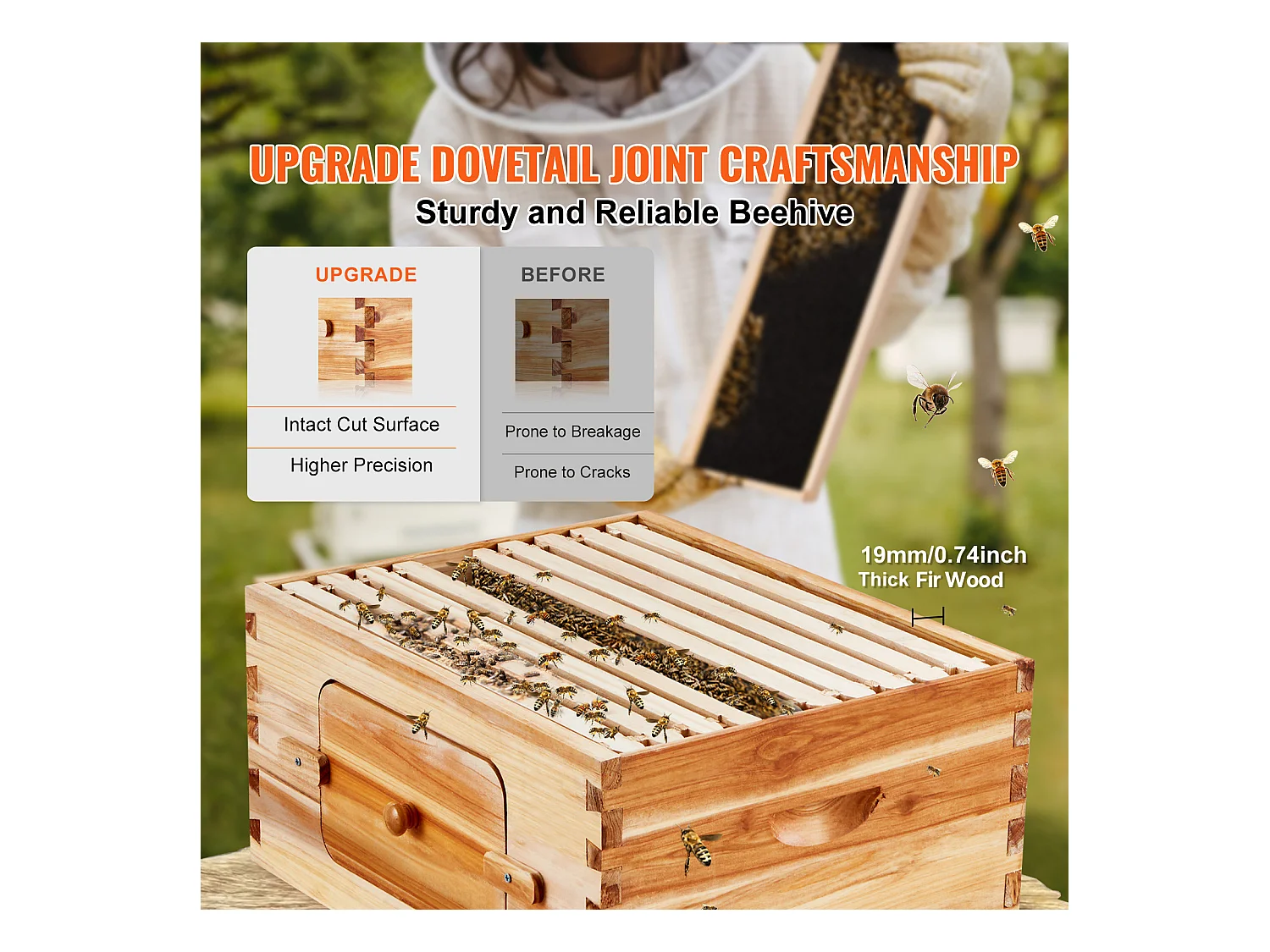 Kit de Ruche à Abeilles SucceBuy avec 10 Cadres et Fenêtres en Acrylique pour Abeilles, 100 % Bois de Cèdre Naturel Recouvert de Cire d'abeille