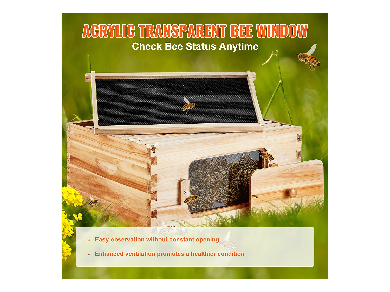 Kit de Ruche à Abeilles SucceBuy avec 10 Cadres et Fenêtres en Acrylique pour Abeilles, 100 % Bois de Cèdre Naturel Recouvert de Cire d'abeille