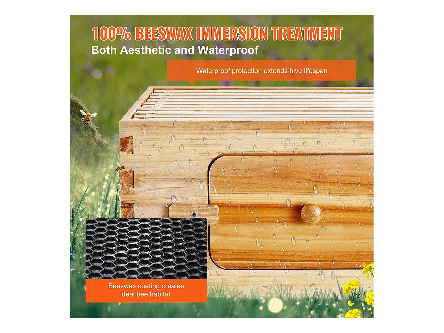 Kit de Ruche à Abeilles SucceBuy avec 10 Cadres et Fenêtres en Acrylique pour Abeilles, 100 % Bois de Cèdre Naturel Recouvert de Cire d'abeille