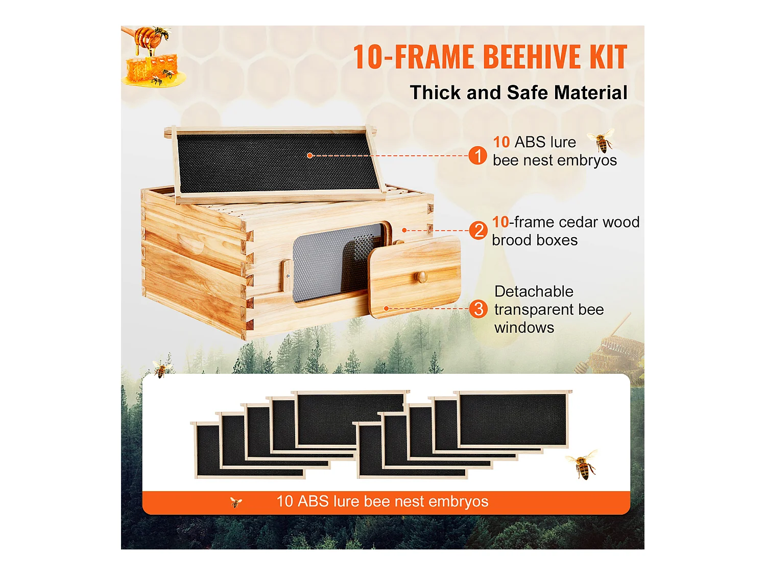 Kit van Bijenkorf SucceBuy met 10 Kaders en Acrylvensters voor Bijen, 100 % Natuurlijke Cederhout Bedekt met Bijenwas