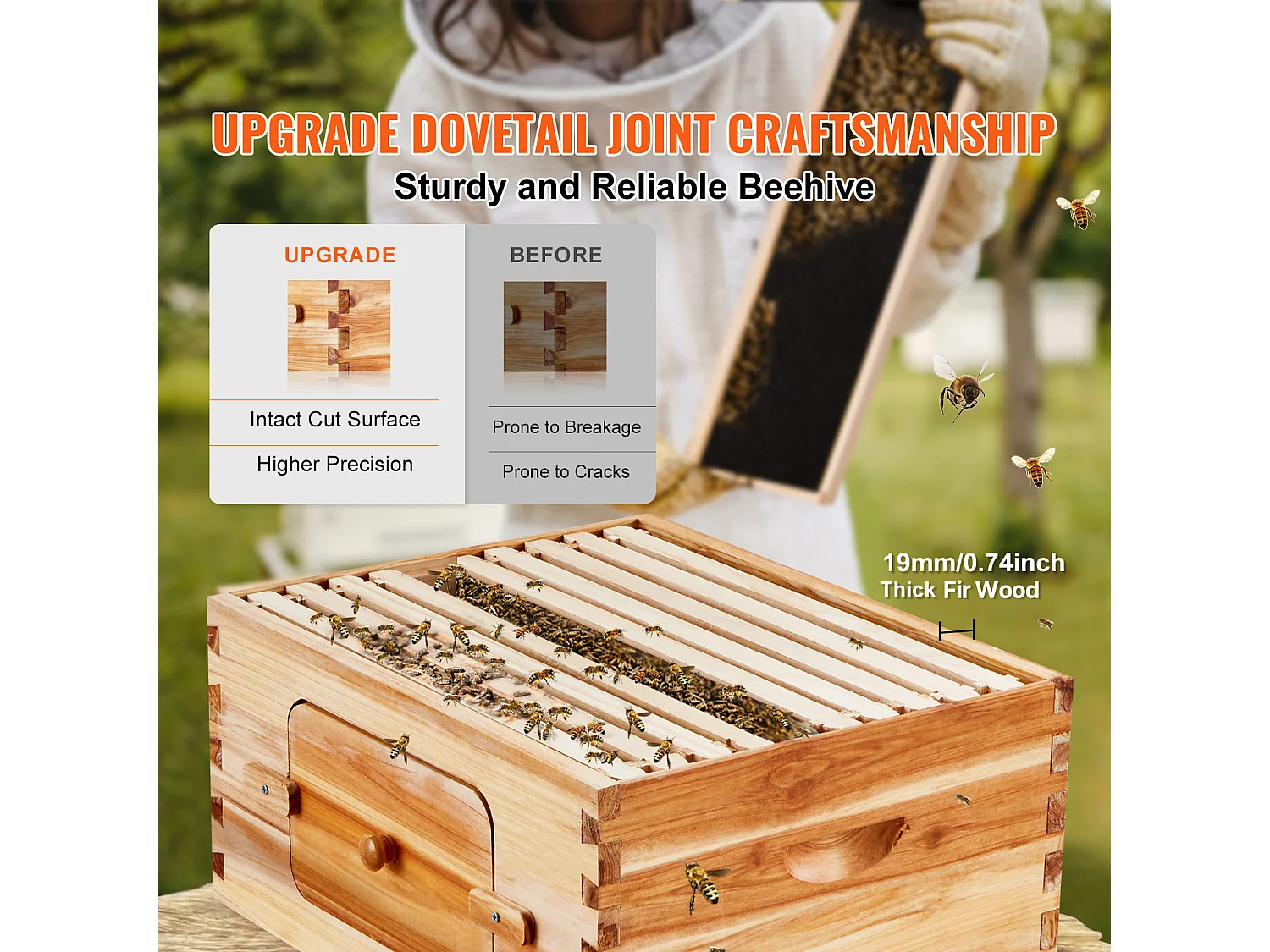 Kit de Ruche à Abeilles SucceBuy avec 10 Cadres et Fenêtres en Acrylique pour Abeilles, 100 % Bois de Cèdre Naturel Recouvert de Cire d'abeille