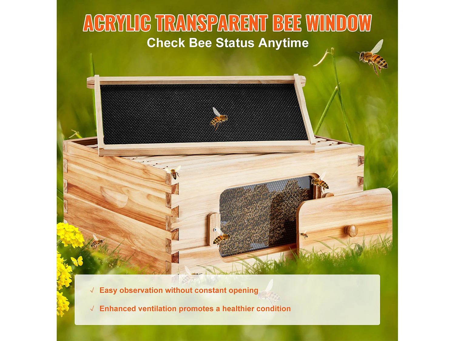 Kit de Ruche à Abeilles SucceBuy avec 10 Cadres et Fenêtres en Acrylique pour Abeilles, 100 % Bois de Cèdre Naturel Recouvert de Cire d'abeille
