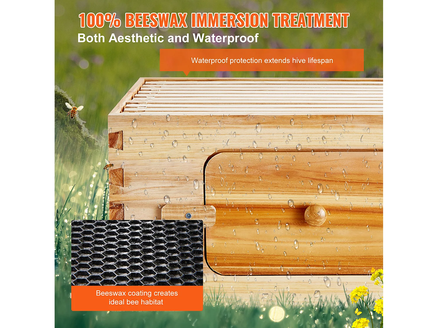 Kit de Ruche à Abeilles SucceBuy avec 10 Cadres et Fenêtres en Acrylique pour Abeilles, 100 % Bois de Cèdre Naturel Recouvert de Cire d'abeille
