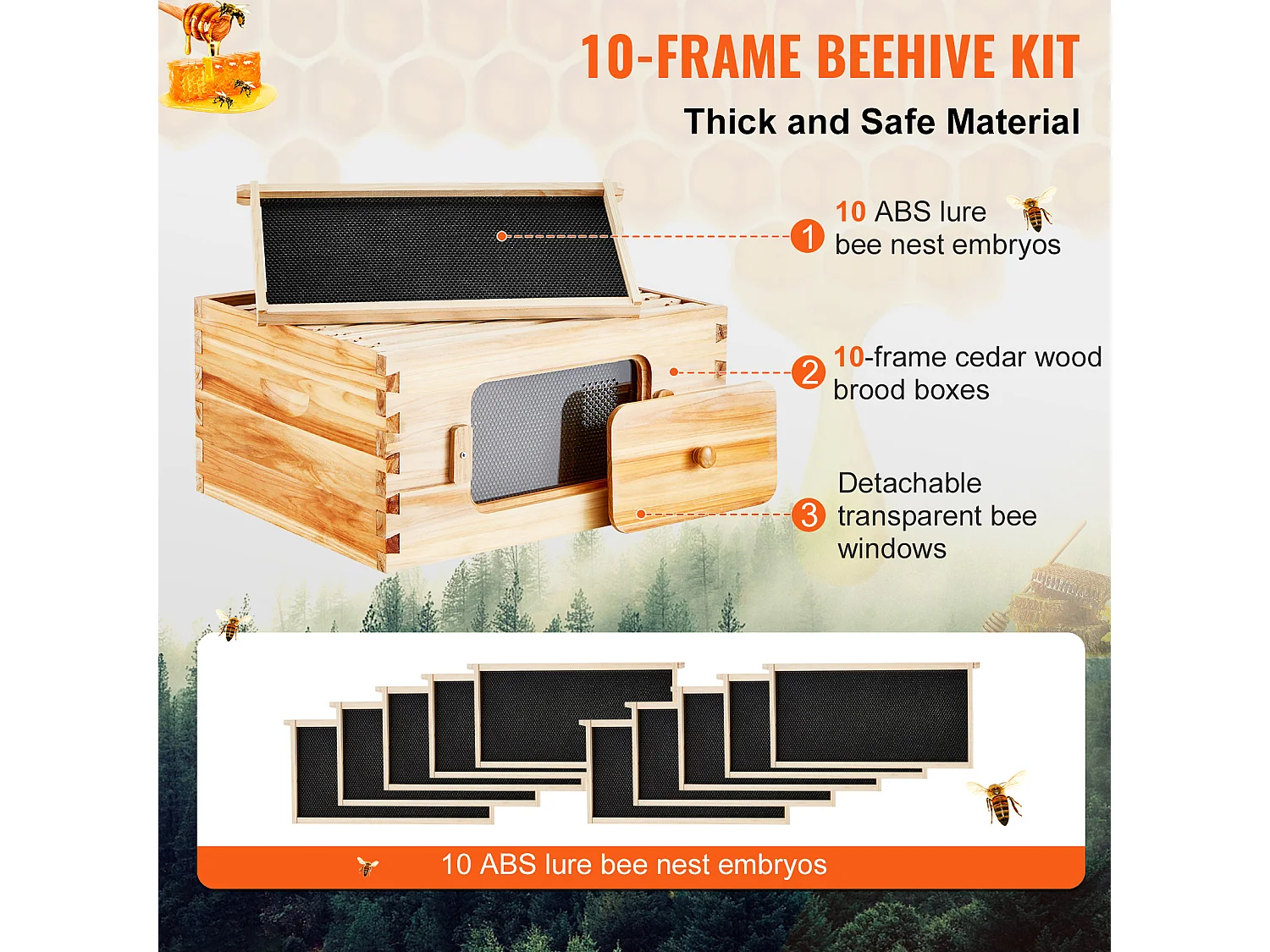 Kit de Ruche à Abeilles SucceBuy avec 10 Cadres et Fenêtres en Acrylique pour Abeilles, 100 % Bois de Cèdre Naturel Recouvert de Cire d'abeille