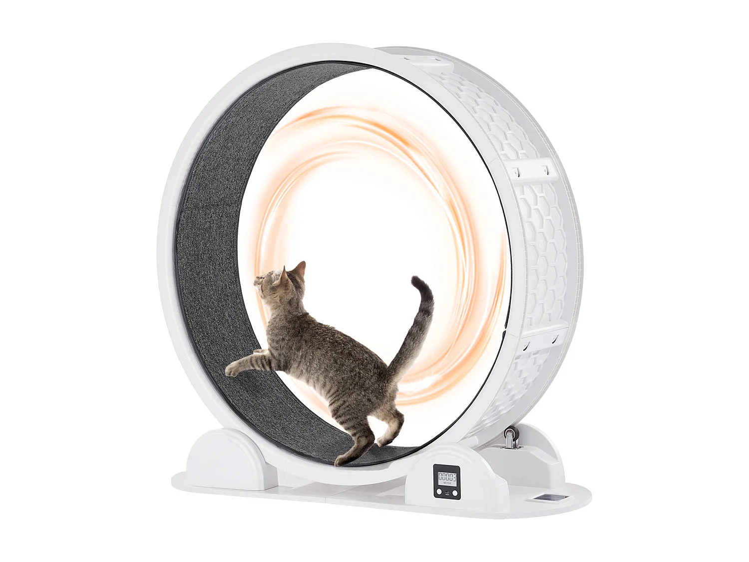 Roue d'Exercice pour Chat SucceBuy, Roue de Course pour Chat d'Intérieur 1038 mm, Blanc
